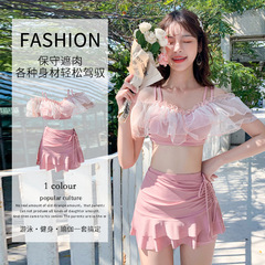 Women's New Split Suit Korean Instagram Style Sexy Skirt Style Swimwear Two-Piece Vacation Hot Spring Outfit