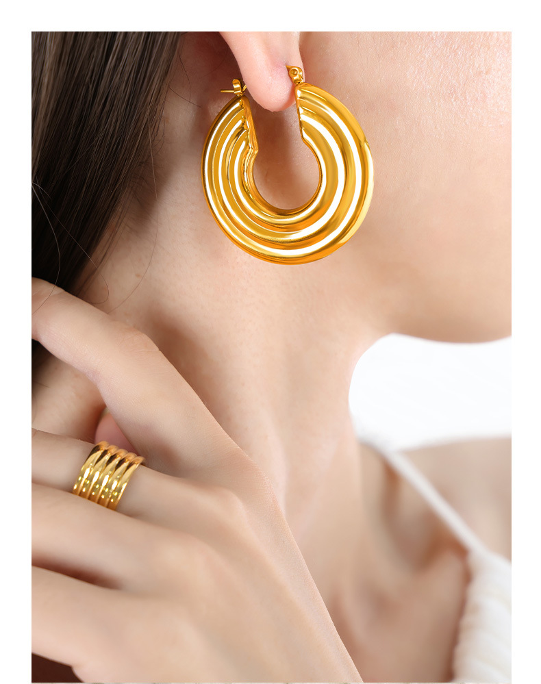 1 Paire Style Moderne Rond Placage Acier Au Titane Boucles D'oreilles Cerceau display picture 2