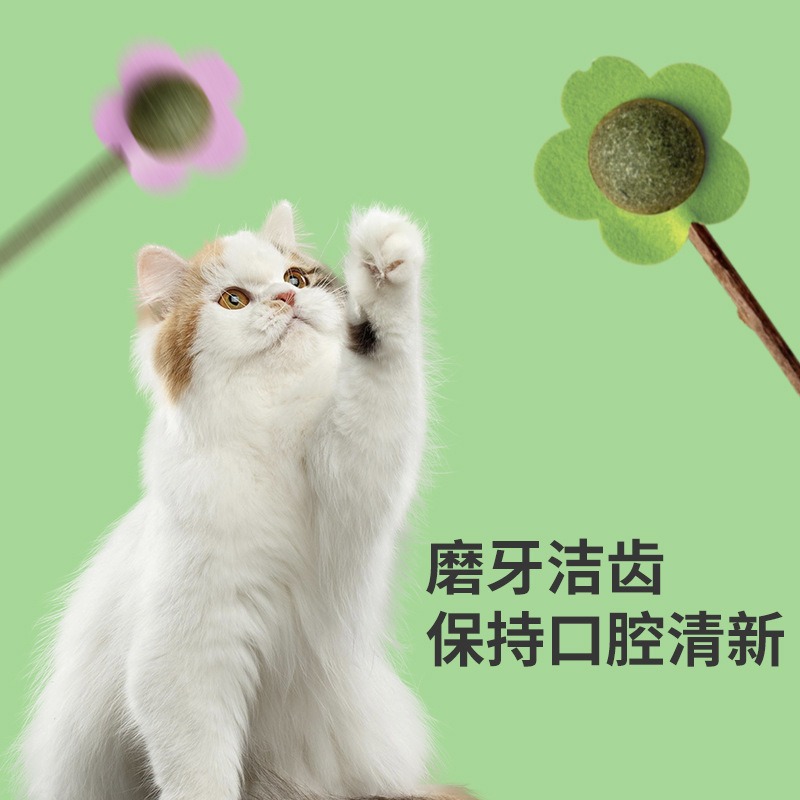 Suministros para mascotas nuevos juguetes para gatos, piruletas de menta gatera, dientes molares, limpiadores, palitos de polygonum