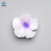 White and Purple Cabbage [8cm Large Size]