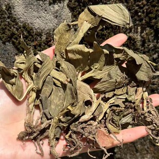 ���~�m �y��ɏ ���~�m �Y�x��Ȼ��ɺ�؛��؛