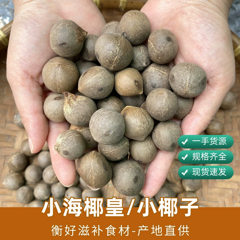 Xiaohai Coconut King Маленький кокос Ошелушение Маленький кокосовый король Мини-маленький морской кокосовый молочный десерт 100 г суп оптом