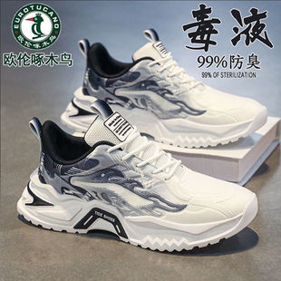 �W����ľ�B������Ь2026�����¿��׷����p���ϵ�Ь�\�����eЬ��