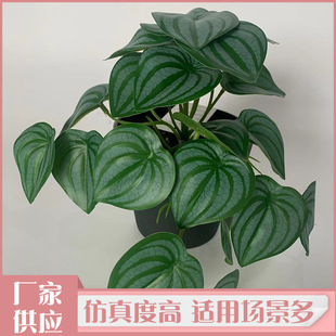 ���W�L���������~�G�}��֧�����~���~��ɭϵ��c�b�����