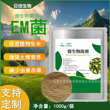 ~ˮʰl̈́EMSuSѷʸl̈́em