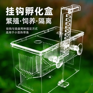 Fish tank isolation box Peacock tropical fish small fish breeding box Non-acrylic incubator production separation box