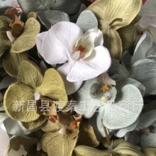 ��������m���滨�^���^��c�b�ϲ�ǰ��ֶY�����ǻ�ϲ�c����