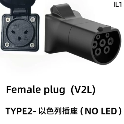 Elektrikli avtomobil şarj stansiyaları Cross-Border - mother-without-lamp-israeli-socket