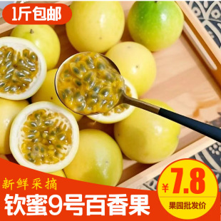 �V���J��9̖��������r���������������@�Fժ����l�����l�r��