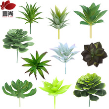 1-2Ԫ �廨����ֲ���^���l�҃� �پGֲ���diy������b����ֲ��