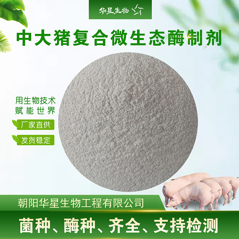 华星生物育肥中大猪专用多复合酶菌浓缩型 猪用饲料添加枯草芽孢