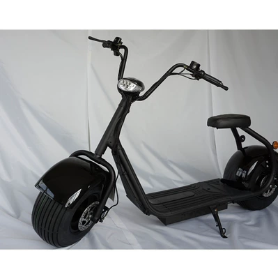 Two-Wheeled Power-Assisted Vehicle, Elektrikli motosikletlər