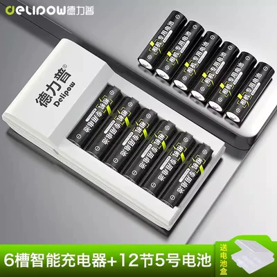 Hibrid akkumulyator batareyaları, Delipu No. 5 battery - 6-slot-turn-light-fast-charge-no-5-2700mah-12-sections
