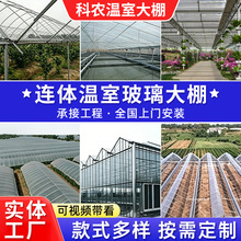 智能温室大棚阳光栽培大棚  蔬菜西瓜玻璃大棚 农业种植连栋大棚