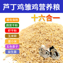 �J���u������u�����g�����r��С�u�w���_�����r�u�����u�a���µ�