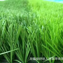 ƺ/wطƤ/νzͼٲƺG̹S