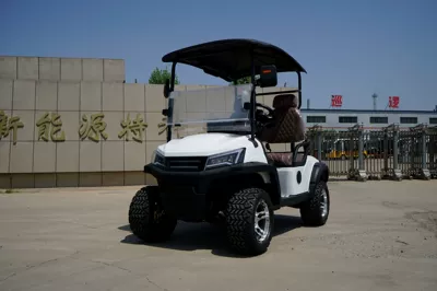 Elektrikli qolf avtomobilləri Trade Export Sightseeing Car - 2-seater-golf-cart-with-row