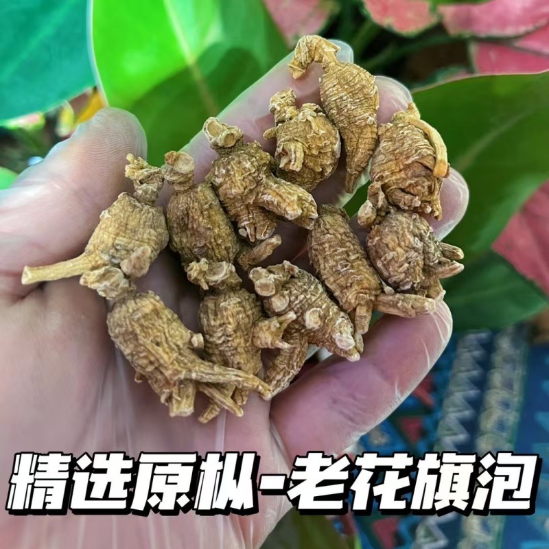 美国进口西洋参花旗参原丛批发整根加拿大花旗参小圆粒整枝老参