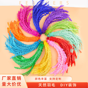 ��β���uβ��ëÓȾ��ɫ�޼�DIY��������Ʒñ����̨�y�b��o��