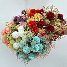 ����ƹ�Ҿ���մ����ѹ�Ӣ�ٻ��͏d�Ƶ����Բ廨��c���ŷ��滨