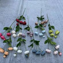 �������^��÷��Y�þƵ��bѻ��Wʽ���^��÷��ë����÷�F؛