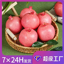仿真果蔬;食物工艺品;其他工艺品