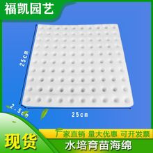 �o�����ඨֲ���dˮ��N�˱������~�˹̶�������|���纣�d