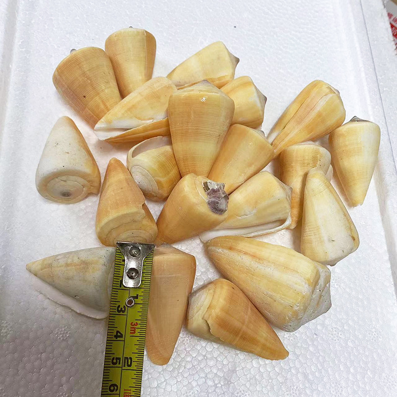 5cdf95748e52e4fc7d361736f70647