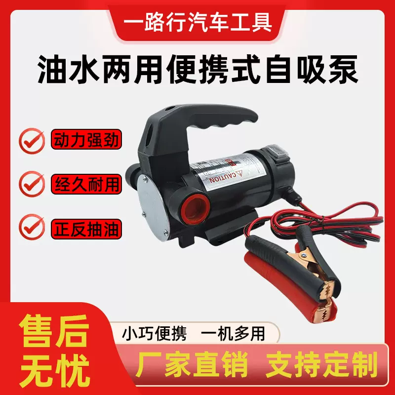 电动抽水12V24V自吸正反转抽油220V柴油农药多用途强吸力抽油泵