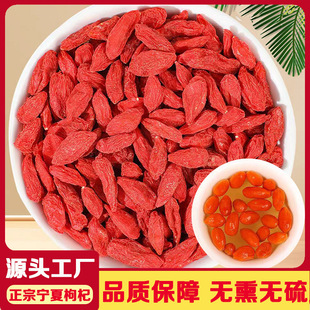 ���ڌ������ �^����؛��؛�B���������ș�����l�ɹ��o�������