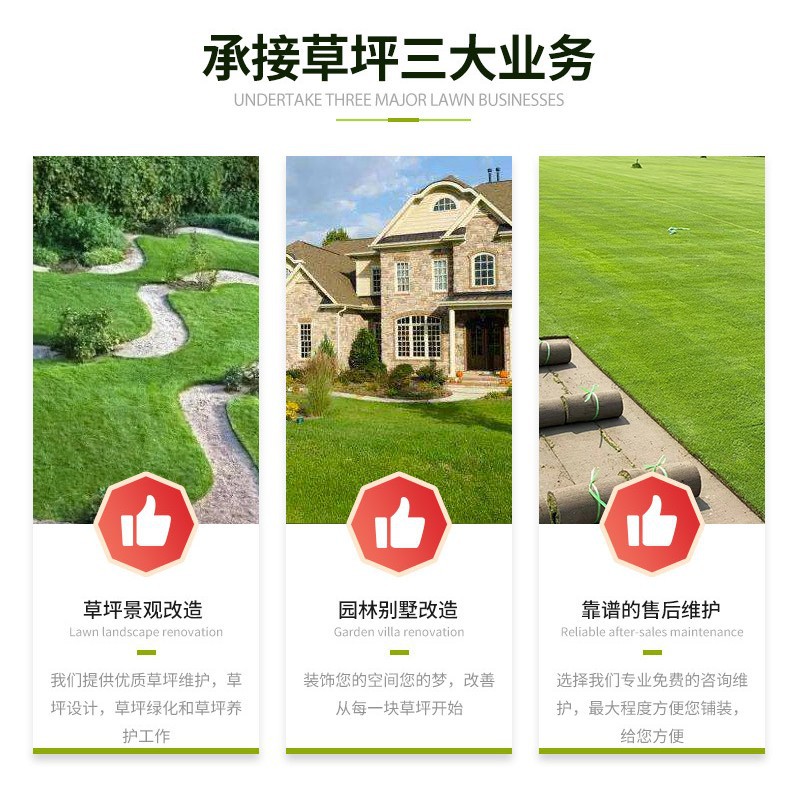 草皮真草带泥草坪带土真草皮庭院别墅高尔夫带土马尼拉草皮