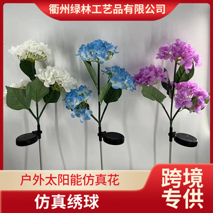 ̫���ľ����3�^���滨���c�廨·���Y���b�ز�ƺ�����