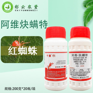 ����ǧ�� 40%���SȲ�\�ذ��S����+Ȳ�\�ظ��٘�t֩�뚢�x���rș
