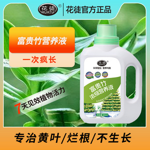 Rich Bamboo Special Concentrated Nutrient Solution Household Green Leaf Plant Pot Flower Anti-Yellow Leaf General genuine goods Fertilizer