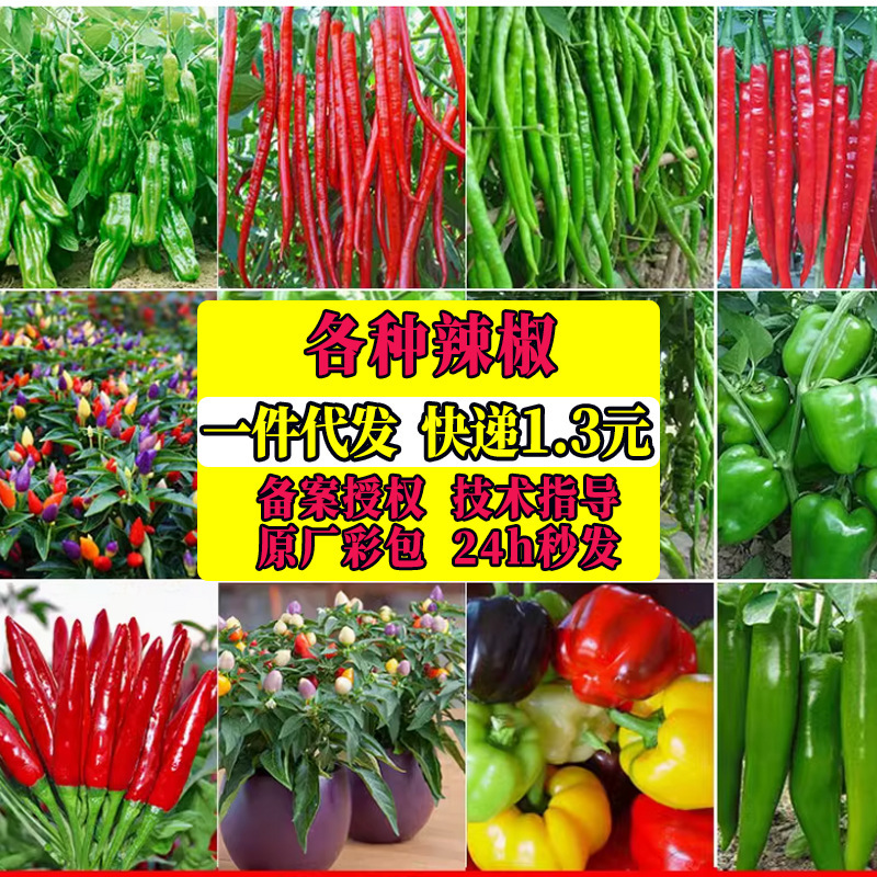 Screw Pepper, Millet Pepper, Upward Pepper, Camphor Tree, Hong Kong Pepper, Bell Pepper, Horn Pepper, Beauty Pepper, Pickled Pepper, Devil's Vegetable Yang