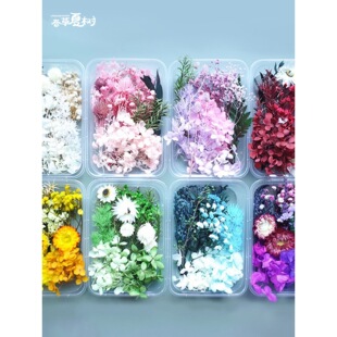 �_�W���Y�ͯ�������ɻ�diy�����滨��ȻϞ�T�F�����h���b�