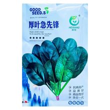 ~h˷NӴ~Nﶬͺ͟Խ߲˸߮a