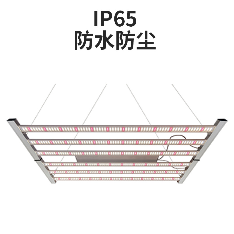 ȫ���״������ڿ��۵�ֲ��ƴ�����ֲ����led�߲���ֲ������