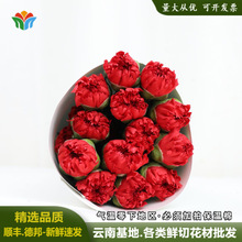 �鸣��ɫ����ܰ�ʻ�ĸ�׽������﹫˾����л����ϻ���ֱ���ʻ�