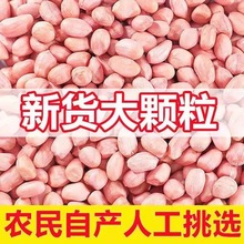 2023新鲜白沙花生米无壳现剥精选粉红皮生花生米批发散装大粒