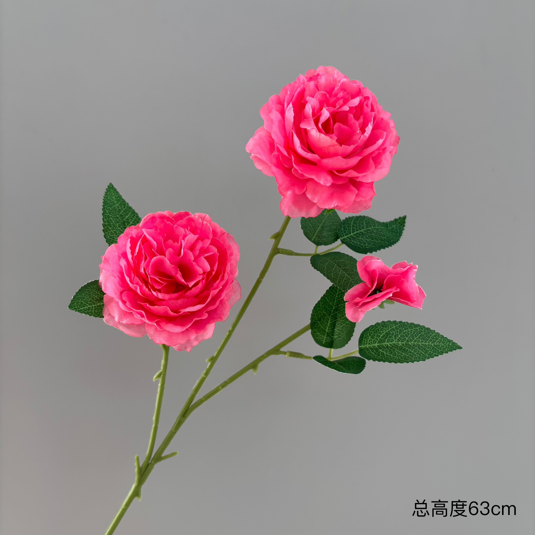 로즈 레드
