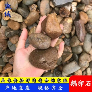 鹅卵石置石园林景观石自然石景石河滩溪滩河卵石户外鹅卵石厂家