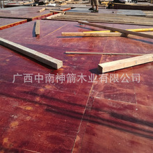 BtģSl ̹֧ģBģľ ߴ׼l؛?