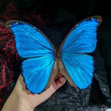 �����˱��[����������x�˱��W����ͯ�������նY�ƌW�J֪�ƽ����