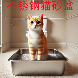 ���P�؈ɰ��ȫ�_�ž���؈ɳ����؈�\����Rʺ��̖���l���N�S��