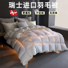 进口羽绒被95白鹅毛被子冬季加厚保暖冬被单双人春秋被芯棉被批发