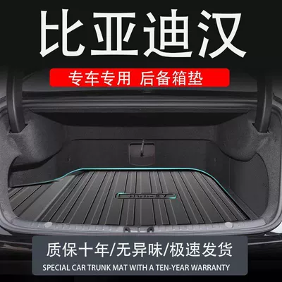ev version DMp car DM – Trunk Mat