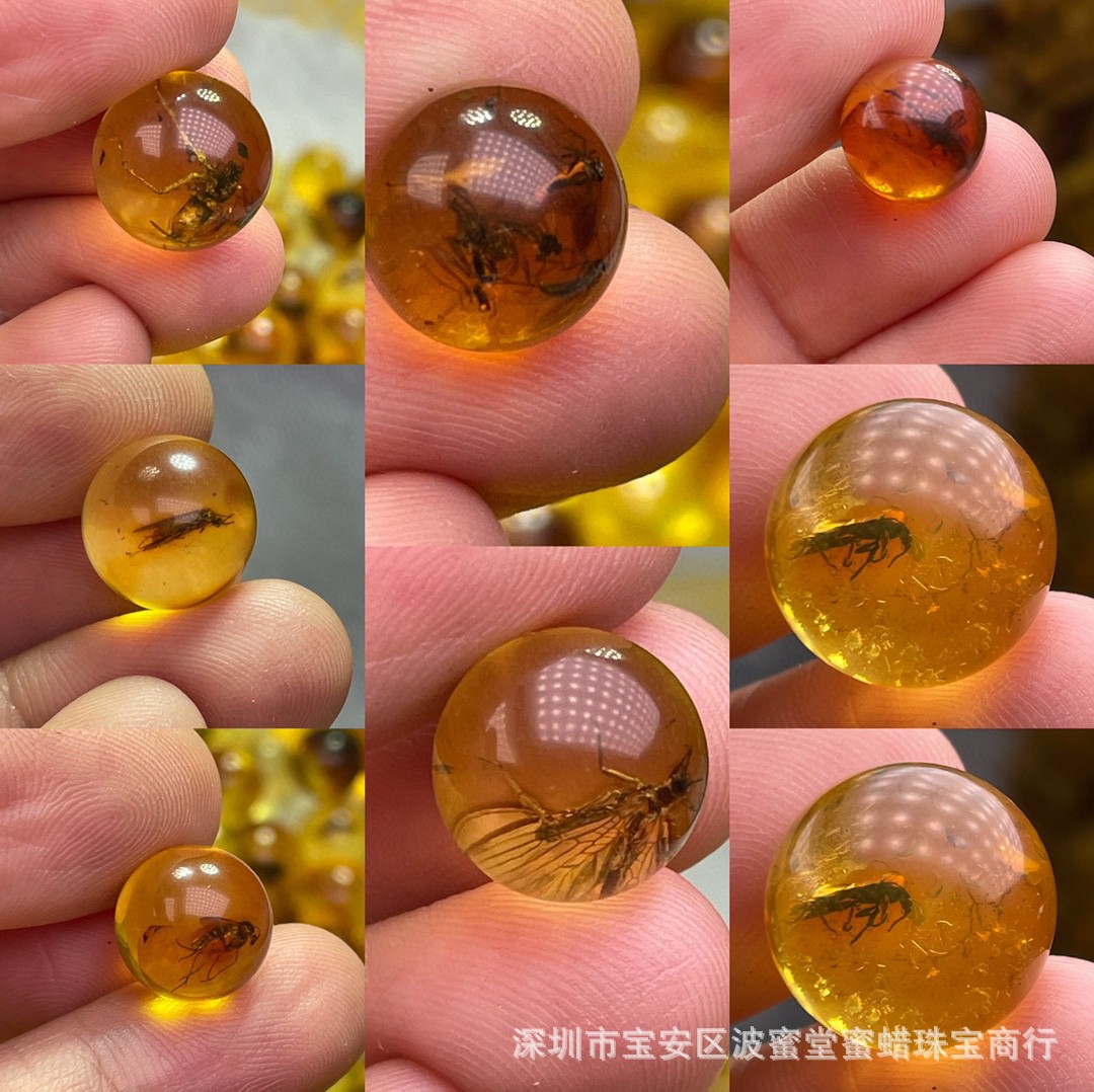 Songgang Factory Amber Beeswax Insect Perot Bead Insect Body Complete Quality Good Diameter 10-16mm Source
