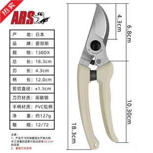 �ձ��M����֦������@ˇ��@�ּ�����������ӻ�����