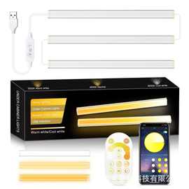 跨境新品爆款家居氛围灯磁吸便携橱柜灯2835双色温铝条人体感应灯